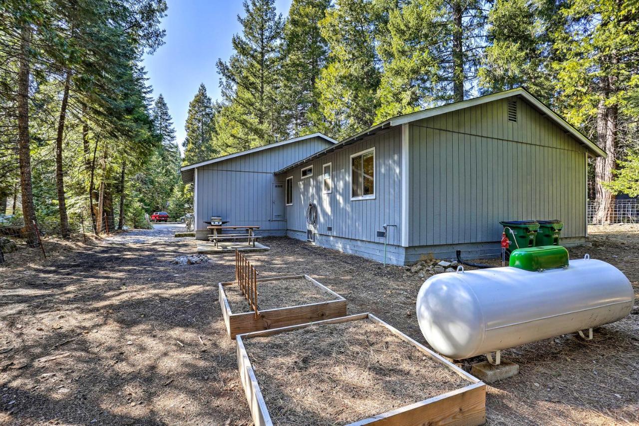 Base Camp Lassen Home 13 Mi To Volcanic Natl Park Shingletown ภายนอก รูปภาพ